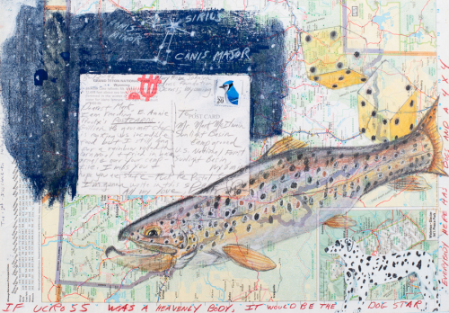 complex mixed media drawing on a road map. The primary images are a rainbow trout and a Dalmatian dog