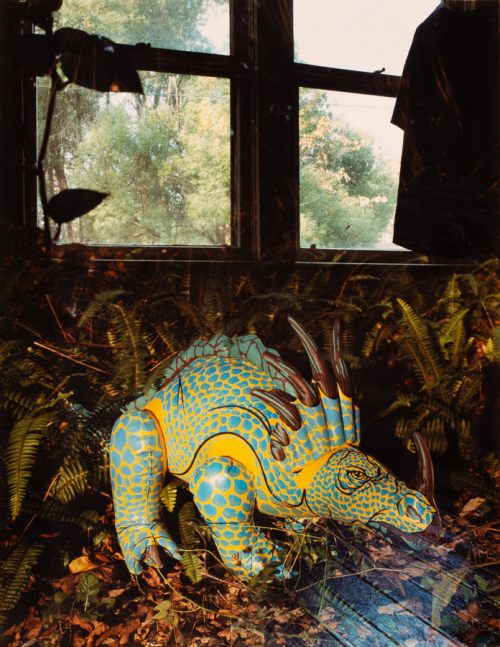 inflatable toy dinosaur (stegosaurus) in an interior filled with ferns and dead leaves. Behind is a window looking onto trees