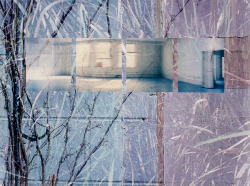 A composition with branches and a cinderblock wall interrupted in the upper center with four square images of interior spaces
