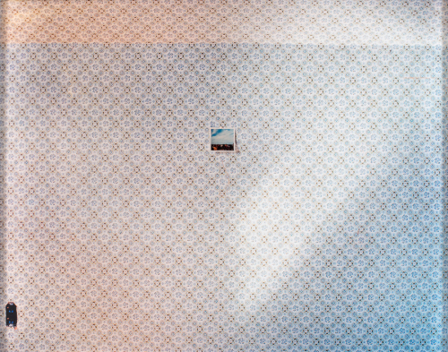 Image of a sunlit wallpapered wall with a pinned-up Polaroid