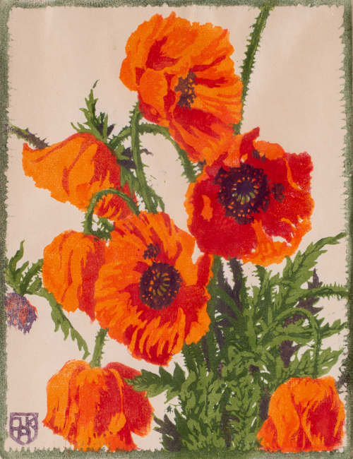 Bright orange and red poppies