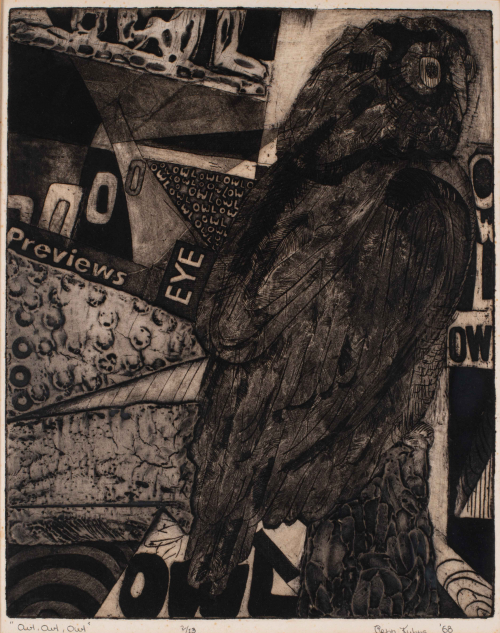 Portrait of an owl, surrounded by words, such as "owl, previews and eye"