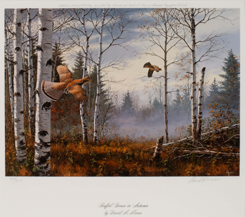 color illustration of two birds taking flight in an autumn forest  