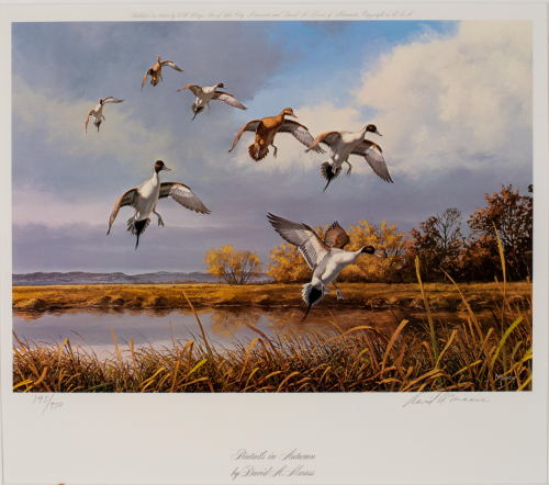 color illustration of ducks landing on a river bank in autumn 