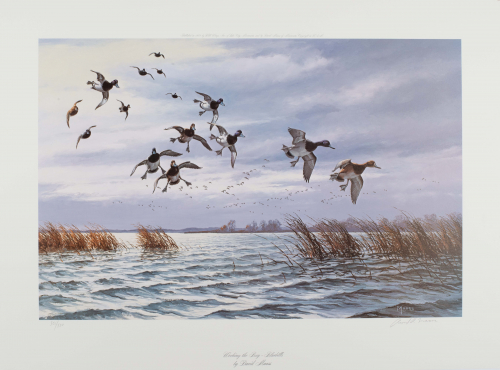 Color illustration of ducks flying near water