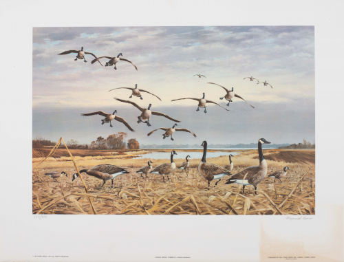 color illustration of Canadian geese in autumn landscape with water in background. 
