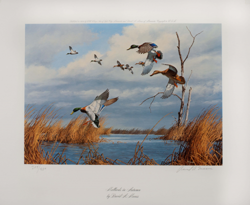 color illustration of ducks flying near a river bed.