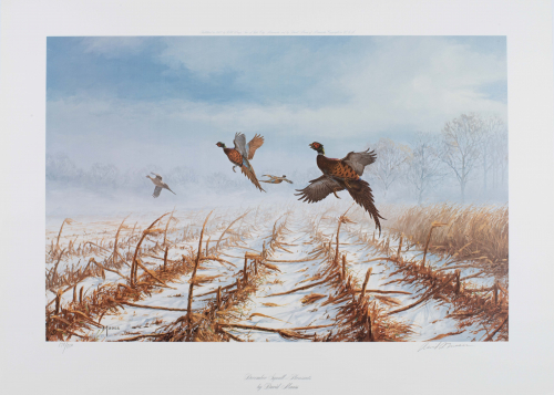 Color illustration Pheasants flying over field in winter in blowing snow.