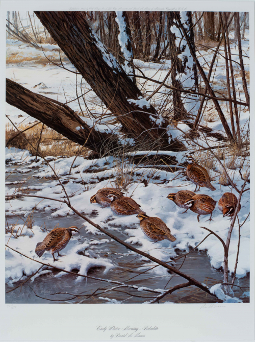 color illustration of birds near snowy creek in woods