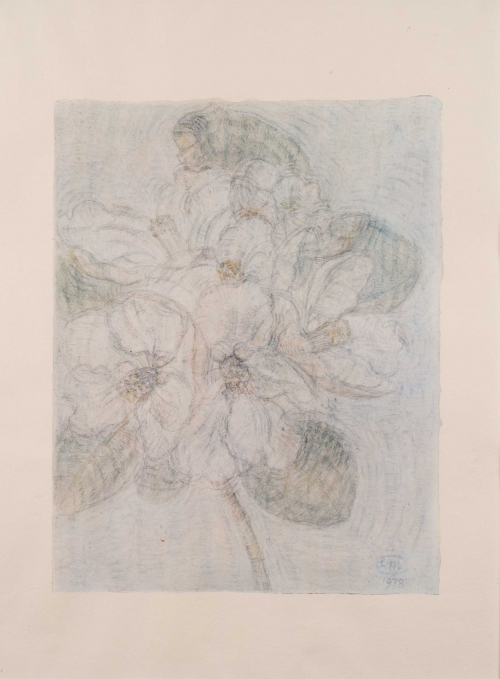 light-blue background with outline of flowers