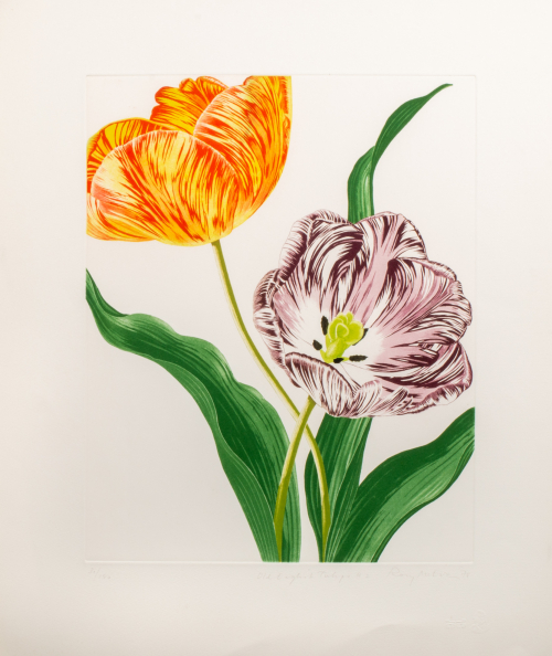 Two tulips with their stems and leaves,  The tulip to the upper left center is a yellow base color, the second tulip is violet.