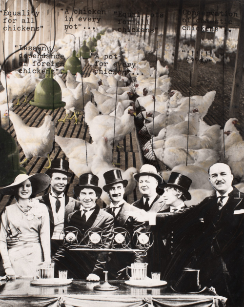 inside of a large chicken facility with thousands of chickens; black-and-white image of group of men and woman below, text above