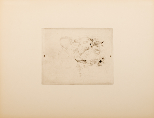 Horizontal image of swan and duck swimming; two girls seen faintly over top of birds; vertical, faint face of a girl