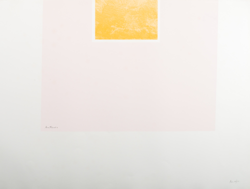 larger pink rectangle, and a small rectangle that is a pale orange within it