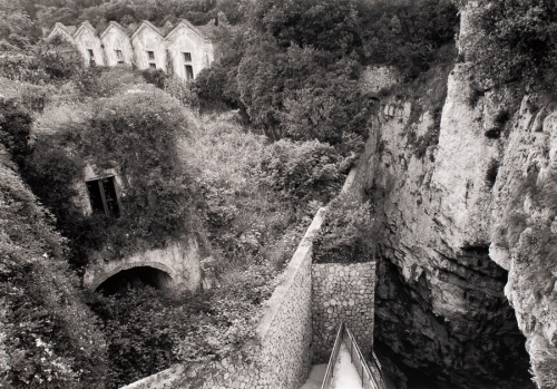 Small stone structures overgrown with vegetation in left half of image. Stone wall with stairs begins in LL 1/4 and recedes down