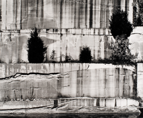 Flat stone face with horizontal breaks and vertical, dark lines of demarcation. Vegetation growing in some cracks with shrubs 