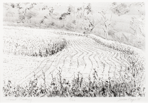 Black and white images of the furrows in a field with corn in the foreground and a treeline in the background.