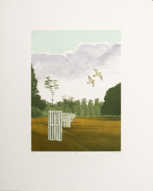 Trees in background; young saplings protected by wooden fences; two birds flying