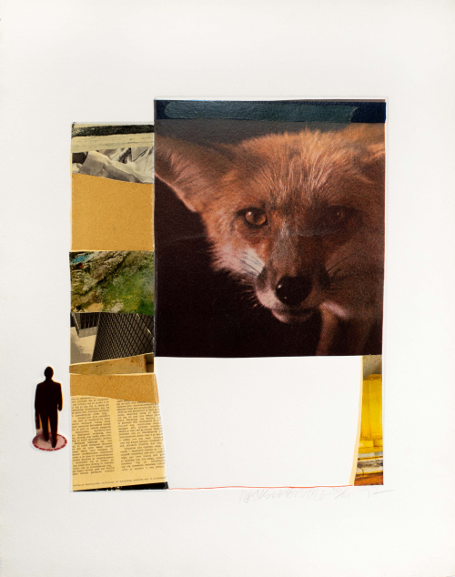 Collage of different images: fox, man in silhouette, page of a book, and other close pictures