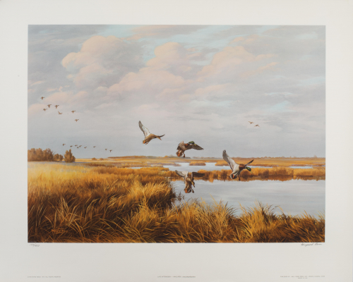 Color illustration of ducks flying in marshy area. 