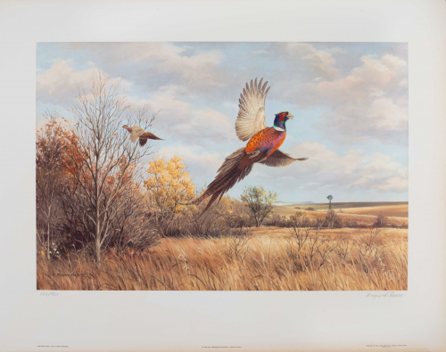 color illustration of pheasants in field 