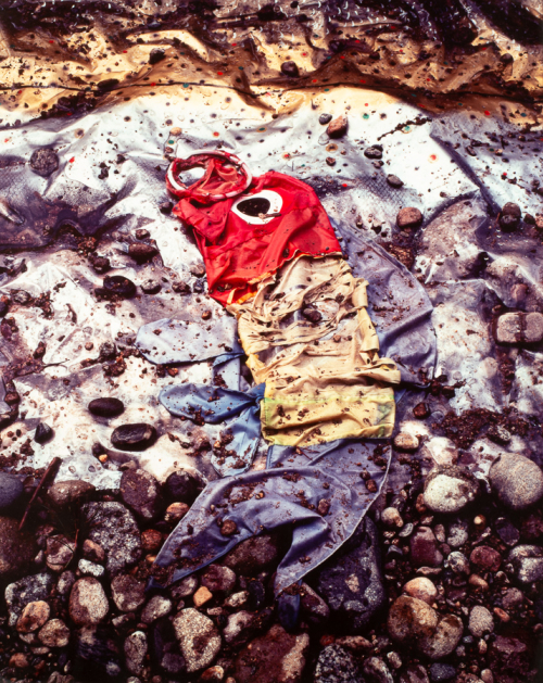 ccomplex full-color image of a fish-shaped kite laying on wet cloth and pebbles