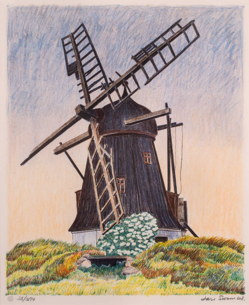 Old, broken windmill; patch of white flowers; grass in front of windmill