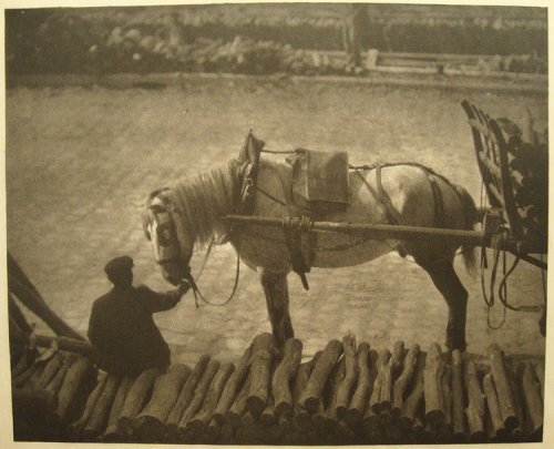 A man sitting on a row of wood feeds a horse connected to a carriage