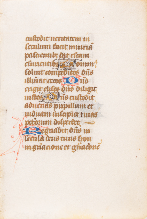 Page of text from an illuminated manuscript