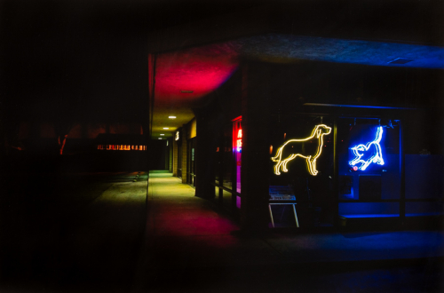 nighttime image that features the side of a building with neon signs including a yellow dog and blue cat