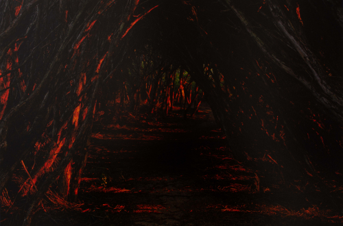 A photograph of a dark wooded path with a red light streaming through the trees. 