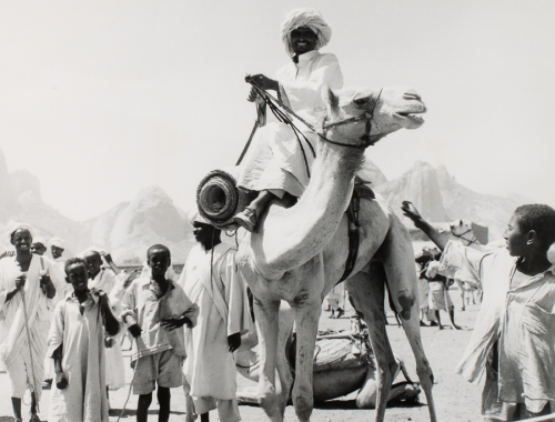 Black and white image children gathered around a man in a turban on a camel