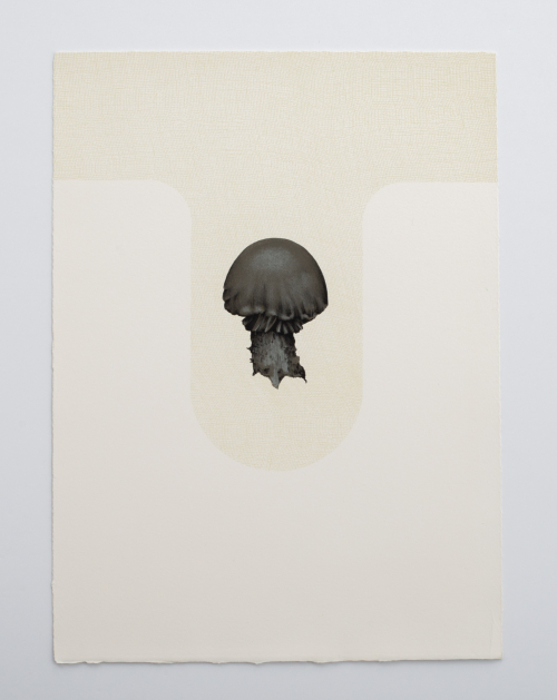 A Dark gray mushroom-shaped object in center of white paper with a U-shaped mesh-looking design behind and above it