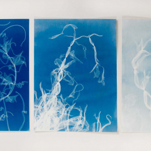 three panes of white wisps against blue backgrounds that get darker from left to right