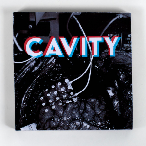 CAVITY book cover